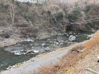 秩父フライフィールド 釣果