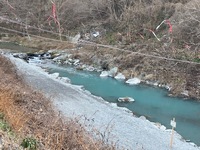 秩父フライフィールド 釣果