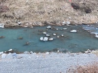 秩父フライフィールド 釣果