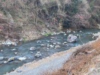 秩父フライフィールド 釣果