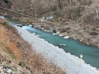 秩父フライフィールド 釣果