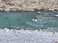 秩父フライフィールド 釣果