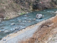 秩父フライフィールド 釣果