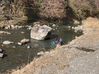 秩父フライフィールド 釣果