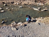 秩父フライフィールド 釣果