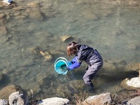 秩父フライフィールド 釣果