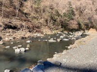 秩父フライフィールド 釣果