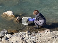 秩父フライフィールド 釣果