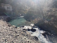 秩父フライフィールド 釣果