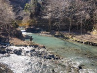 秩父フライフィールド 釣果