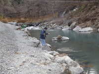 秩父フライフィールド 釣果