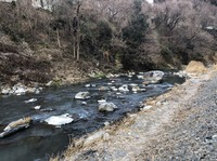 秩父フライフィールド 釣果
