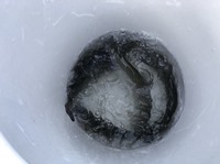 秩父フライフィールド 釣果