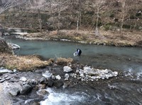 秩父フライフィールド 釣果