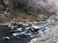 秩父フライフィールド 釣果