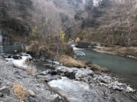 秩父フライフィールド 釣果