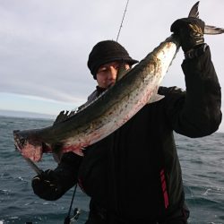 第二明康丸 釣果