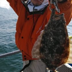 フィッシングガイド りょう 釣果