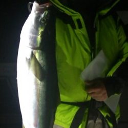 JDI Racing シールズマリンレジャー 釣果