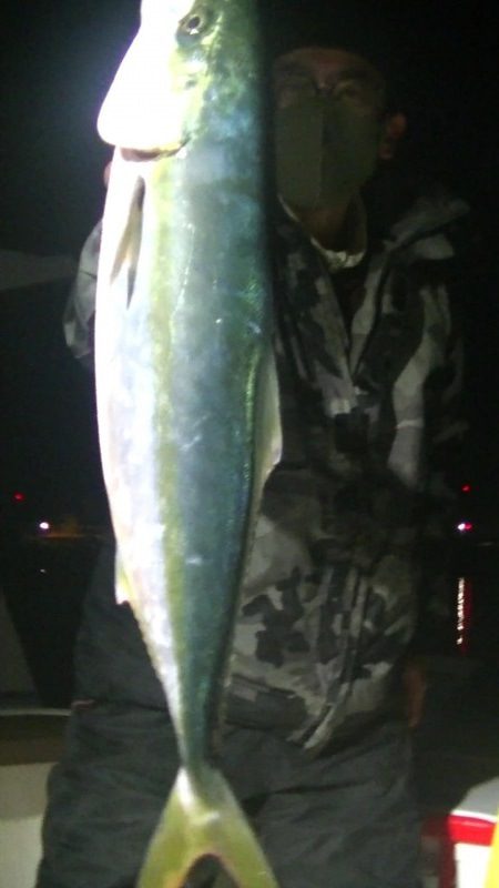 JDI Racing シールズマリンレジャー 釣果