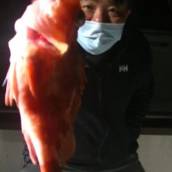 JDI Racing シールズマリンレジャー 釣果