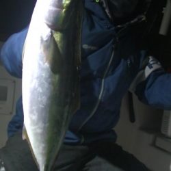 JDI Racing シールズマリンレジャー 釣果