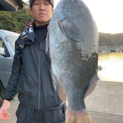 千津丸 釣果