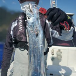 海晴丸 釣果