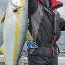 LUSTER『ラスター』 釣果