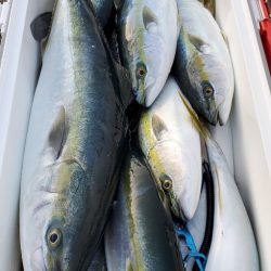 LUSTER『ラスター』 釣果