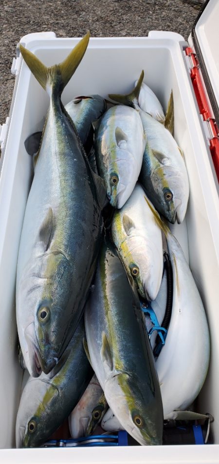 LUSTER『ラスター』 釣果