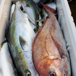 LUSTER『ラスター』 釣果