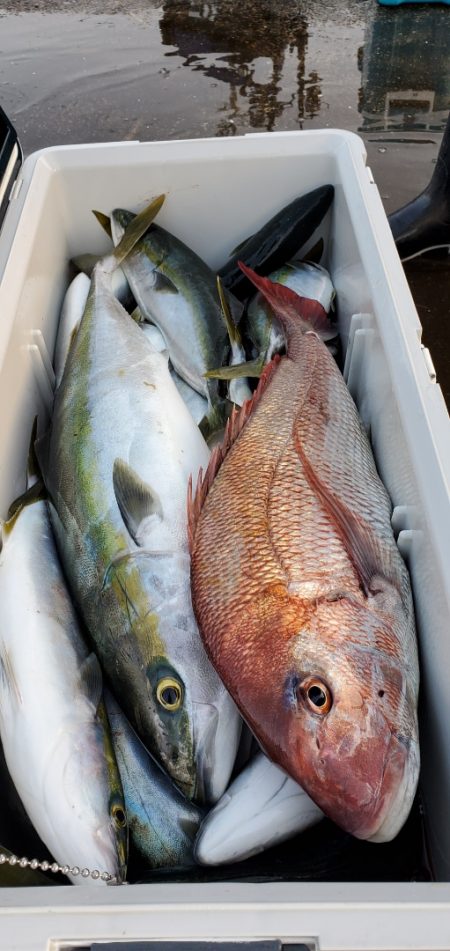 LUSTER『ラスター』 釣果