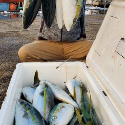 LUSTER『ラスター』 釣果