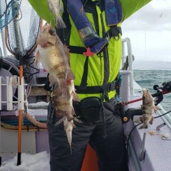 海龍丸（石川） 釣果