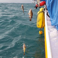 海龍丸（石川） 釣果