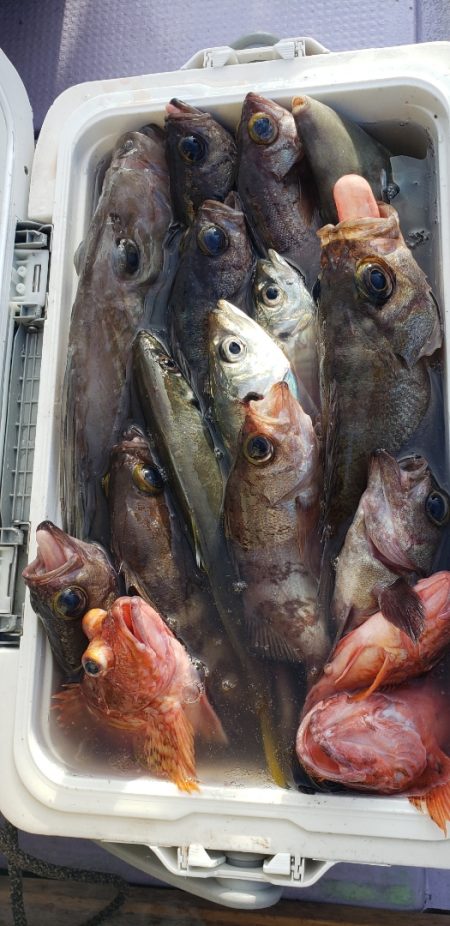 海龍丸（石川） 釣果