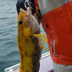 海龍丸（石川） 釣果