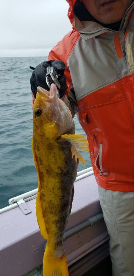 海龍丸（石川） 釣果