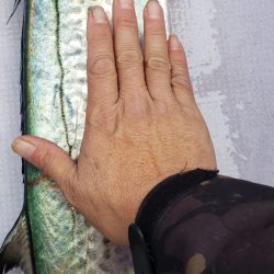 海龍丸（石川） 釣果