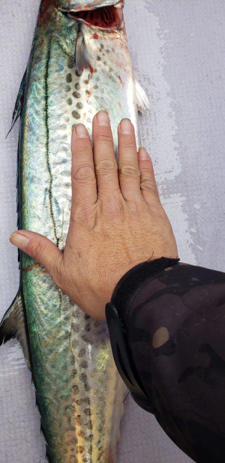 海龍丸（石川） 釣果