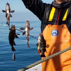 海龍丸（石川） 釣果