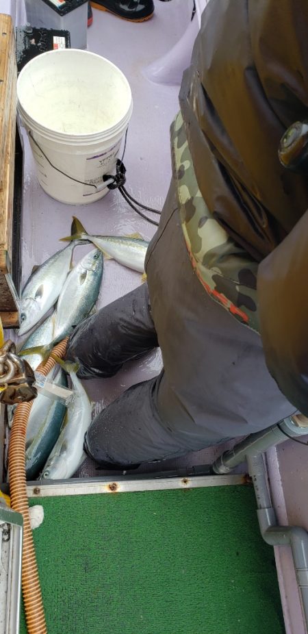 海龍丸（石川） 釣果