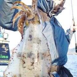 シースナイパー海龍 釣果