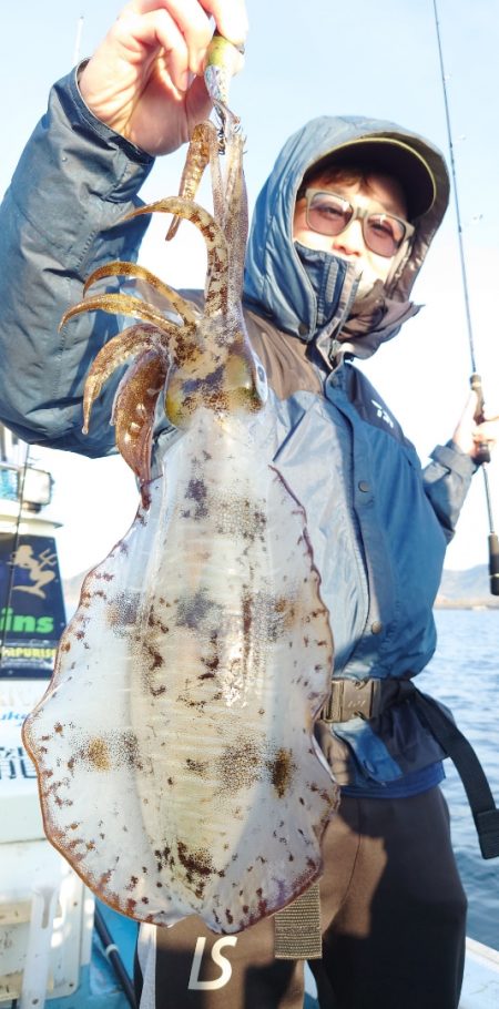 シースナイパー海龍 釣果