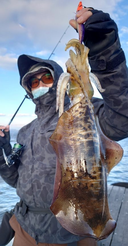 シースナイパー海龍 釣果