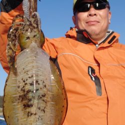 シースナイパー海龍 釣果