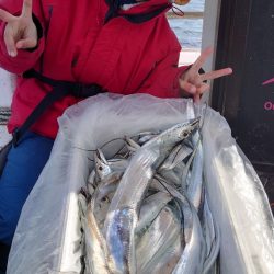 シースナイパー海龍 釣果