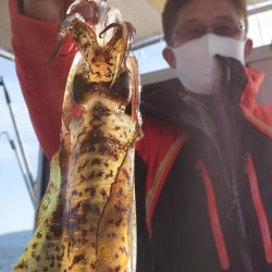 シースナイパー海龍 釣果