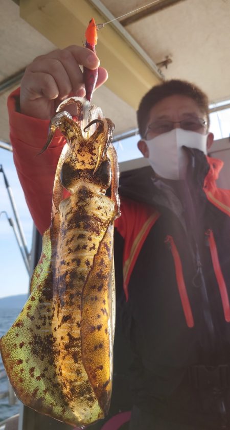 シースナイパー海龍 釣果